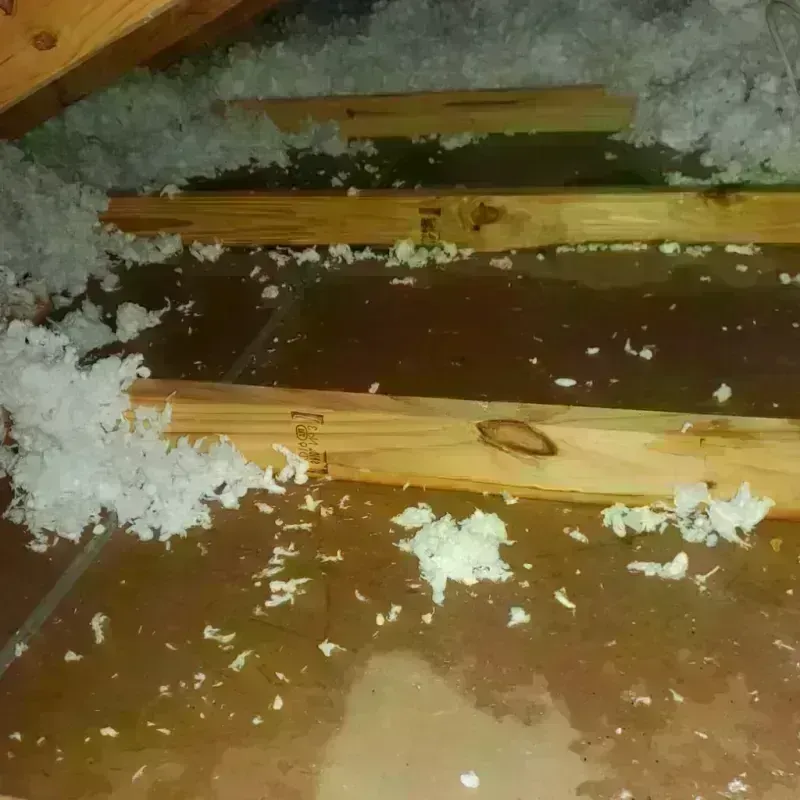 Attic Water Damage in Pontotoc County, MS